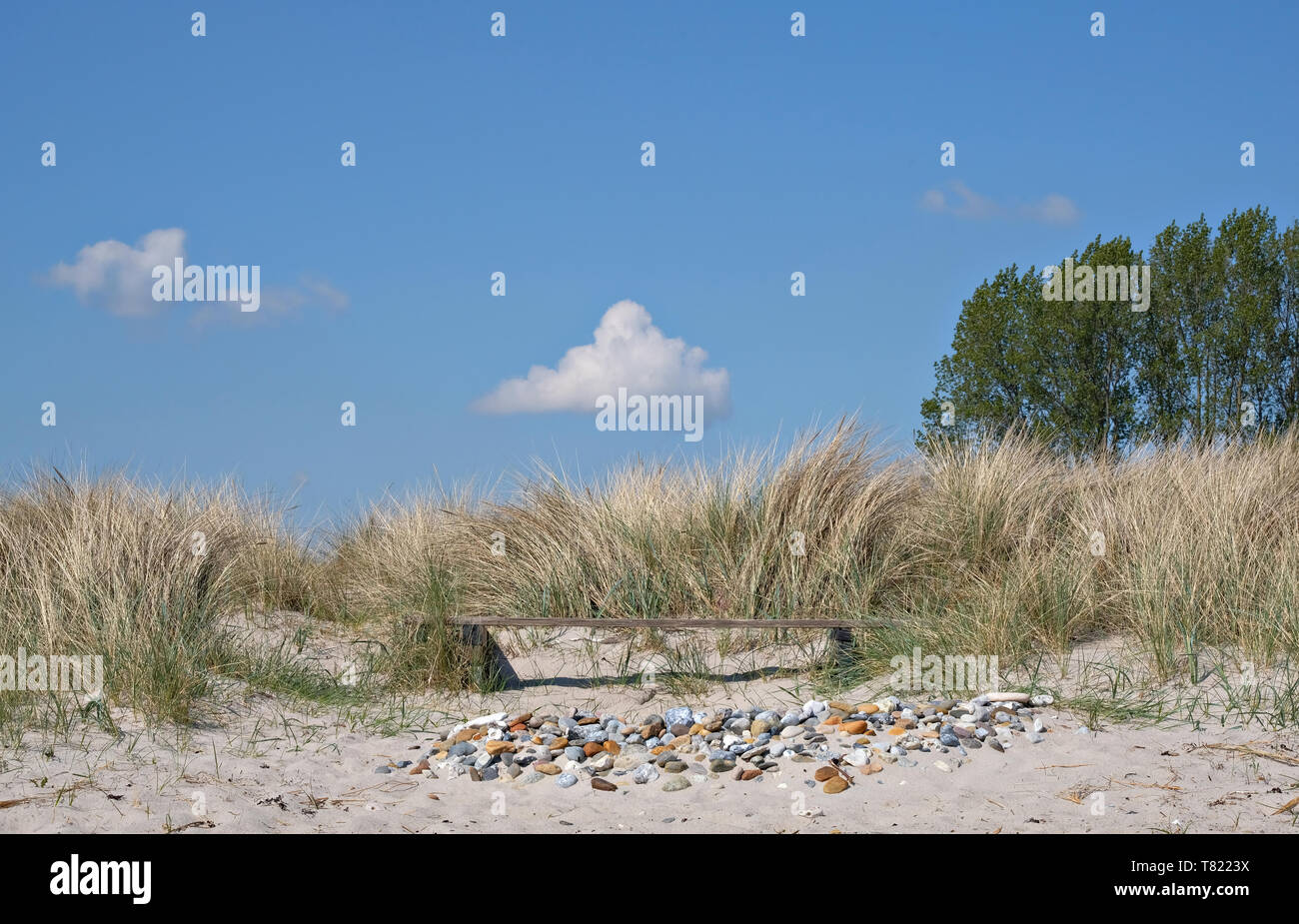 Weißer Sandstrand mit Steinen und Gras. Deutschland Ostsee. Eine Wolke im blauen Himmel. Stockfoto