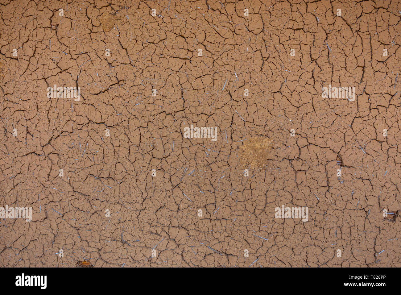 Risse im Lehm Mauer eines japanischen Haus bei michinoku Folklore Dorf in Kitakami, Japan Stockfoto