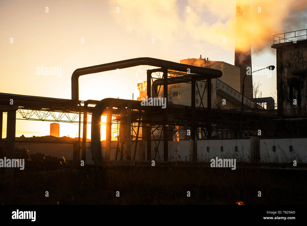 Rohre aus Stahl in einem chemischen Betrieb bei Sonnenaufgang. Stockfoto