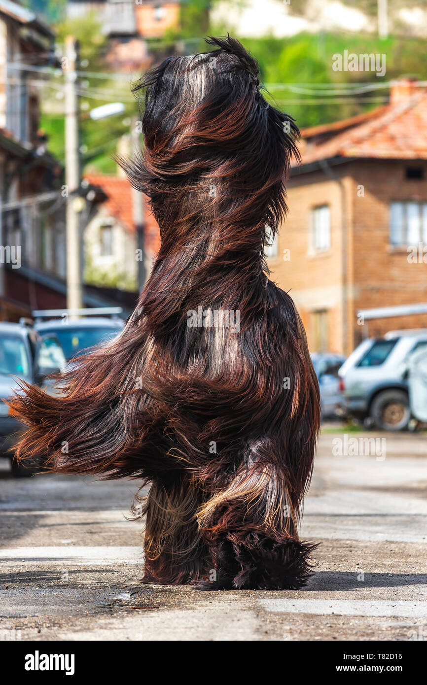 Eleshnitsa, Bulgarien - 28 April 2019: Derzeit von Nationalen Festival Ostern, stellt Traditionen des bulgarischen Kuker Spiele. Stockfoto