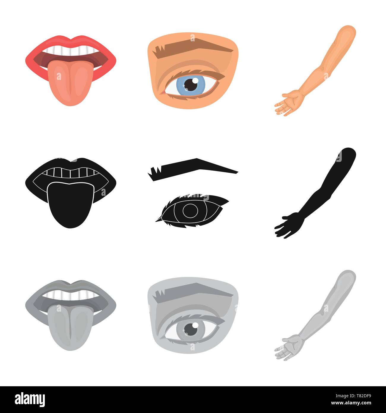 Vector Illustration von Körper und Symbol. Satz von Körper und Anatomie ...