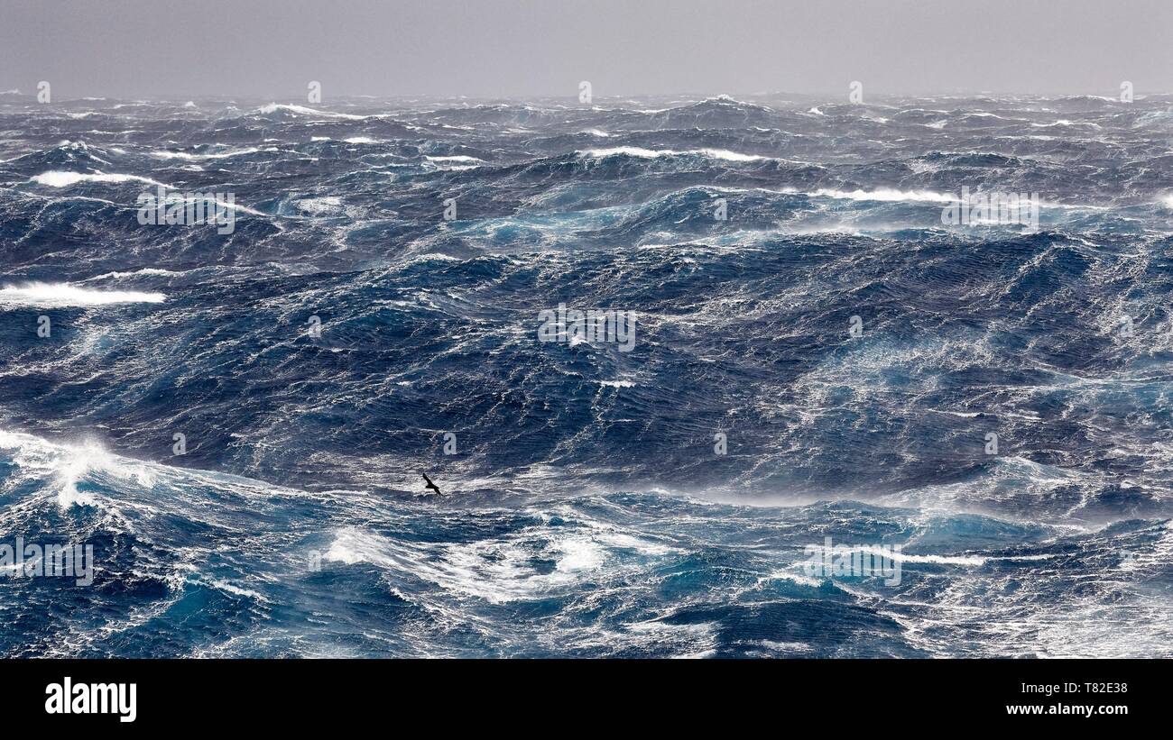 Frankreich, Indischer Ozean, Französische Süd- und Antarktisgebiete, Unwetter, Beaufort 10 mit Böen bis 11 in den Roaring Forties, Bild an Bord der Marion Dufresne (Schiff zur Versorgung der Französischen Süd- und Antarktisgebiete) unterwegs von Crozet Inseln Kerguelen Inseln genommen Stockfoto