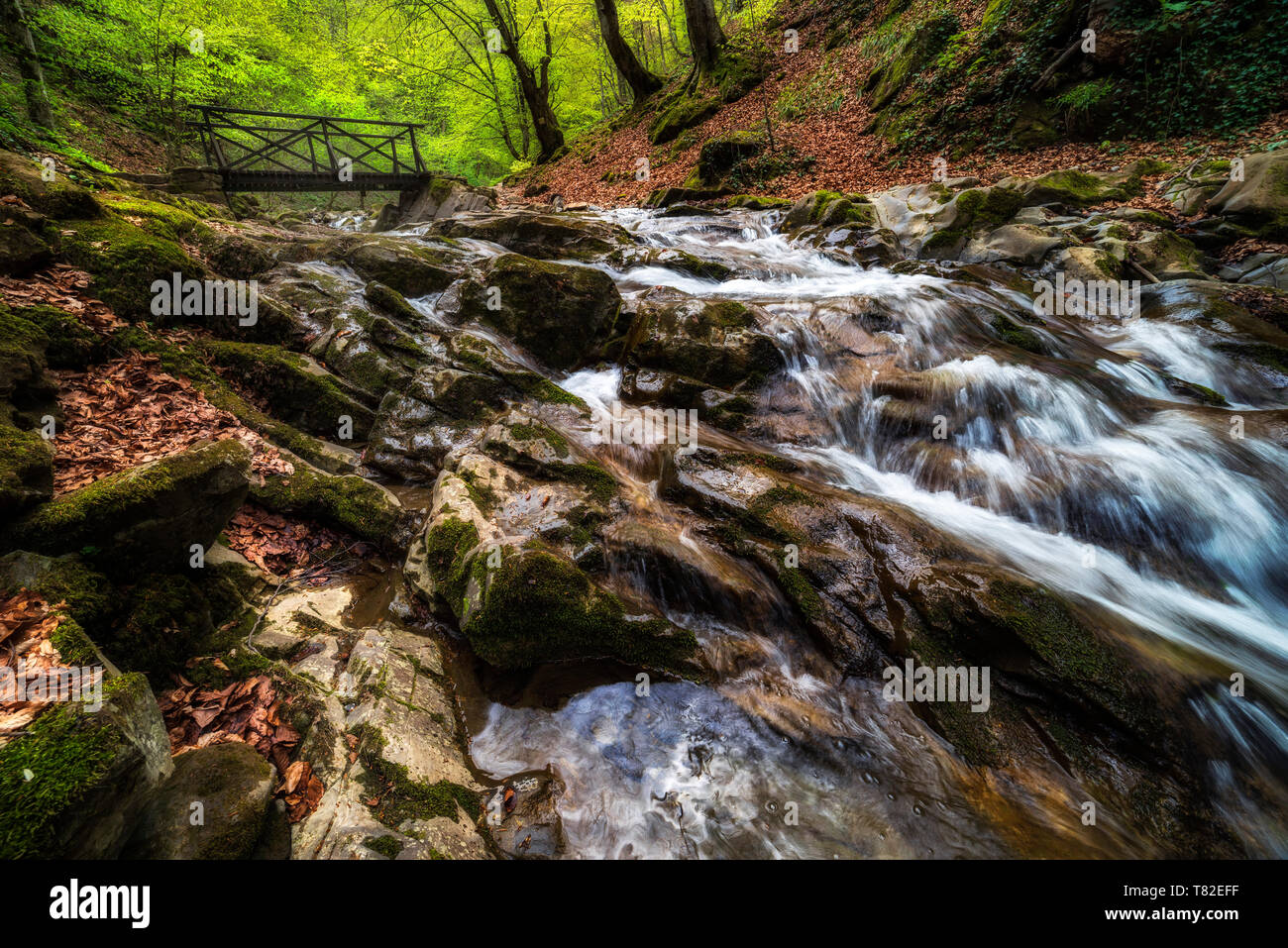 Mountain River unter Holzbrücke. Schöne Landschaft vom Frühling, Wald Stockfoto