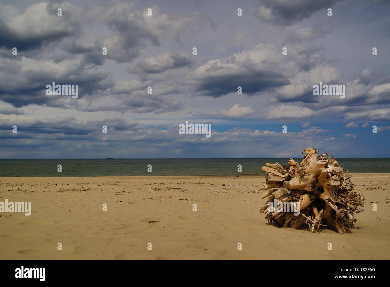 Sandstrand der polnischen Ostsee Küste, trockenen Baumstamm mit großer Teil der Wurzeln, Horizont, bewölkter Himmel, HDR Stockfoto