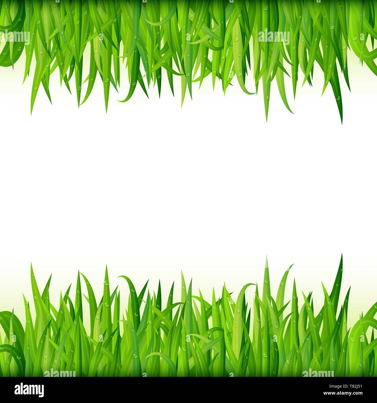 Grüne Gras Banner. Vector Hintergrund Stock Vektor