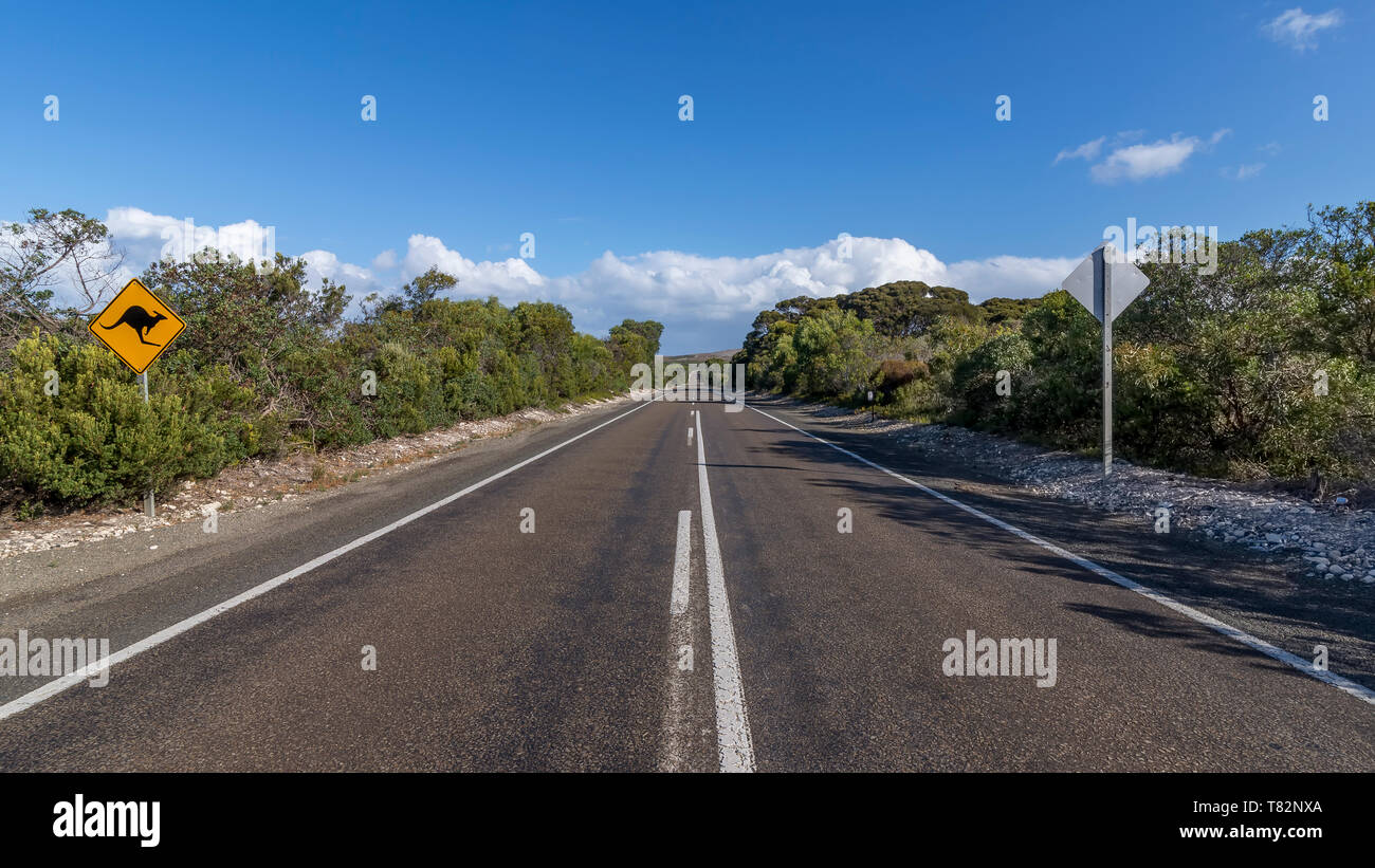 Schild weist auf die Gefahr der Kreuzung Känguruhs auf einer Straße in Kangaroo Island, Südaustralien Stockfoto