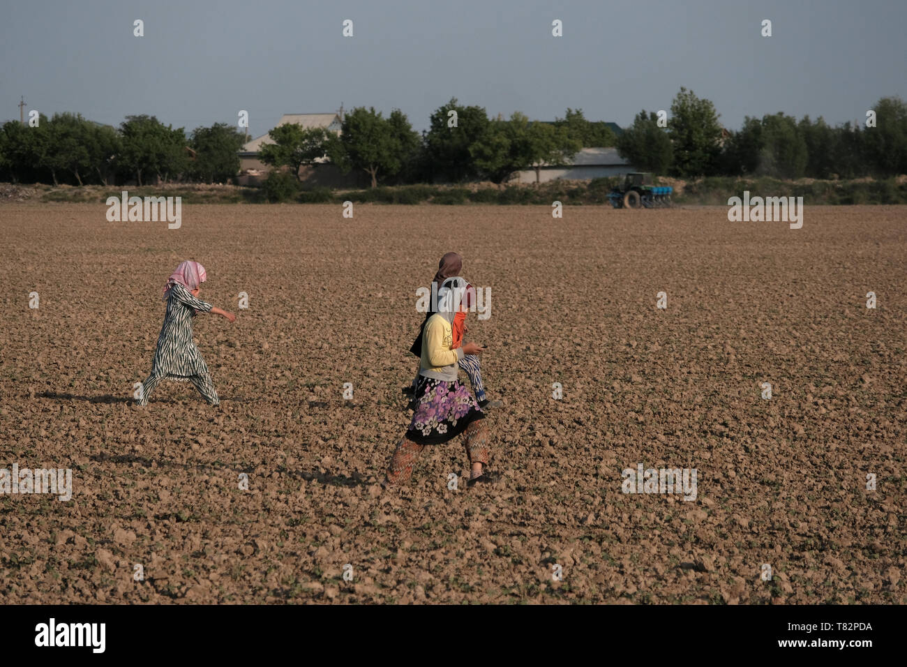 Usbekische Frauen laufen auf einem bepflügten Ackerfeld in den Randbezirken des heutigen Termez, Surkhandarya oder Surxondaryo in Usbekistan Stockfoto