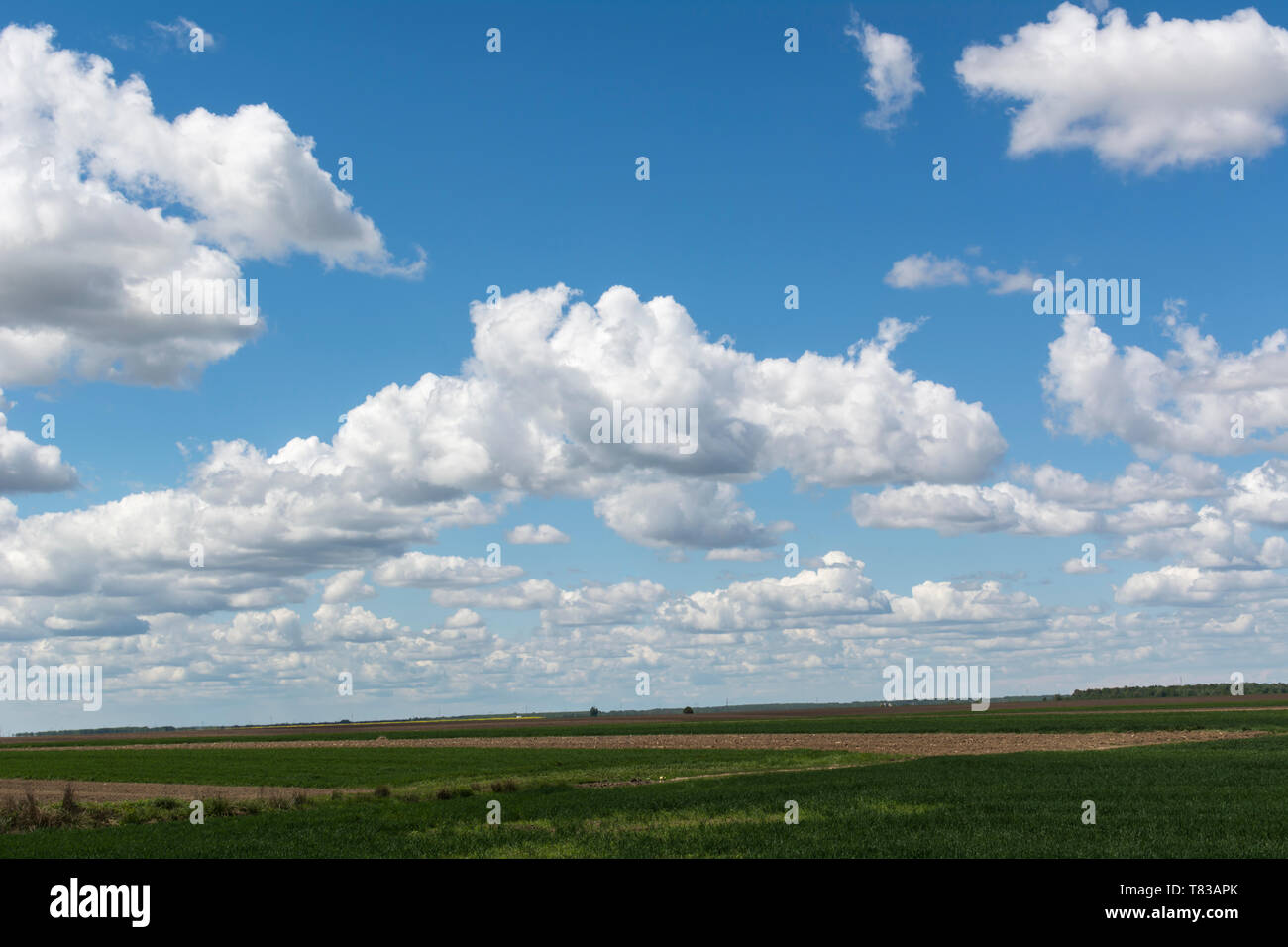 Blauer Himmel und Wolken Himmel, Himmel Hintergrund mit kleinen Wolken, Strom Wolken. Stockfoto