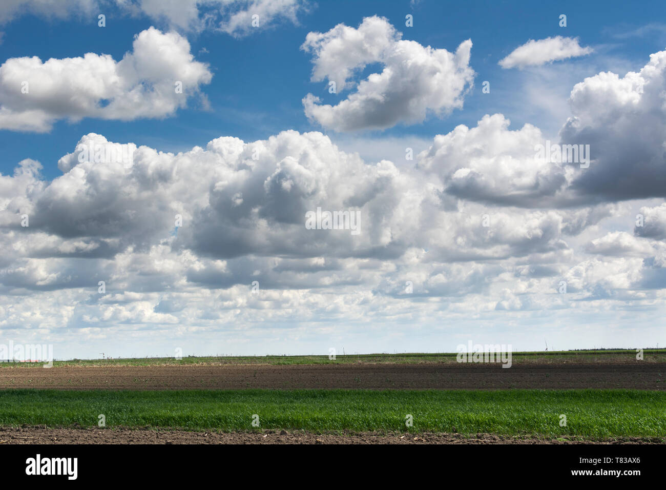 Blauer Himmel und Wolken Himmel, Himmel Hintergrund mit kleinen Wolken, Strom Wolken. Stockfoto