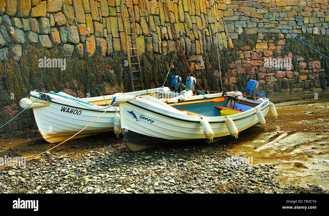 Boote und Schiffe im Hafen im Crail Hafen, Fife, Schottland bei Ebbe Stockfoto