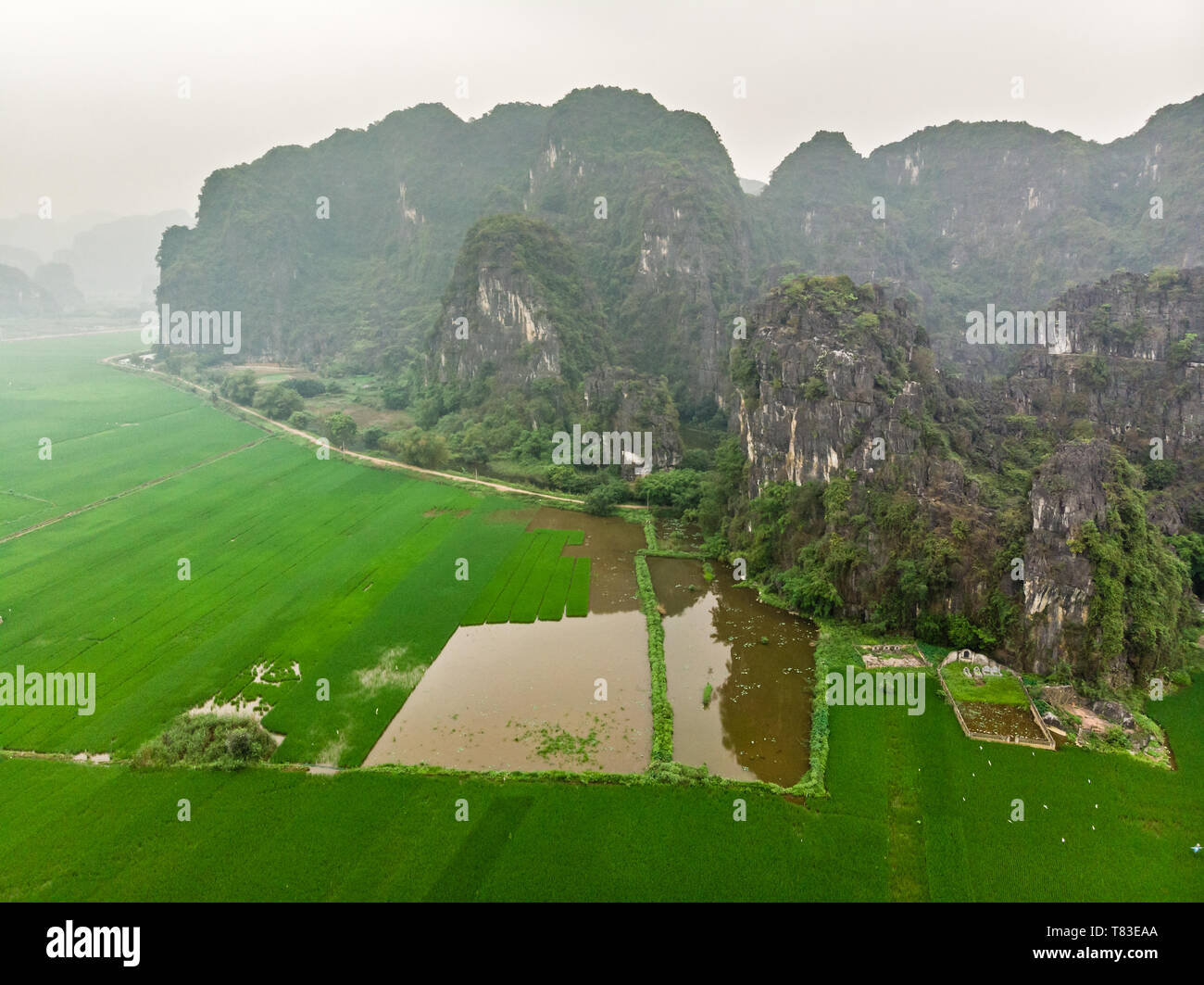 Luftaufnahme von Bergen und grünen Reisfeldern, Provinz Ninh Binh, Vietnam Stockfoto