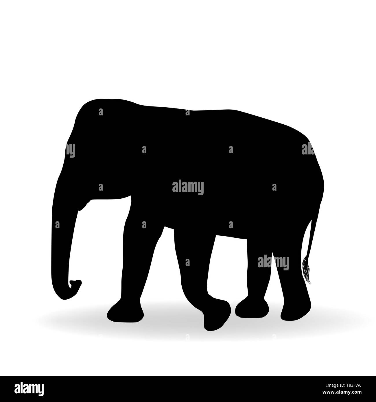 Elephant silhouette isolated icon vector -Fotos und -Bildmaterial in
