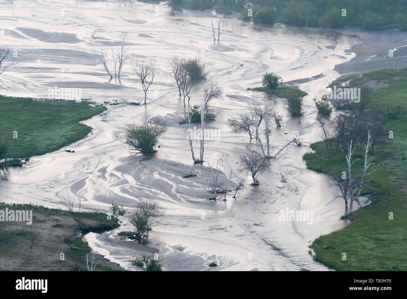 China, Innere Mongolei, Provinz Hebei, Zhangjiakou, Bashang Wiese, Fluss mit toten Bäumen Stockfoto