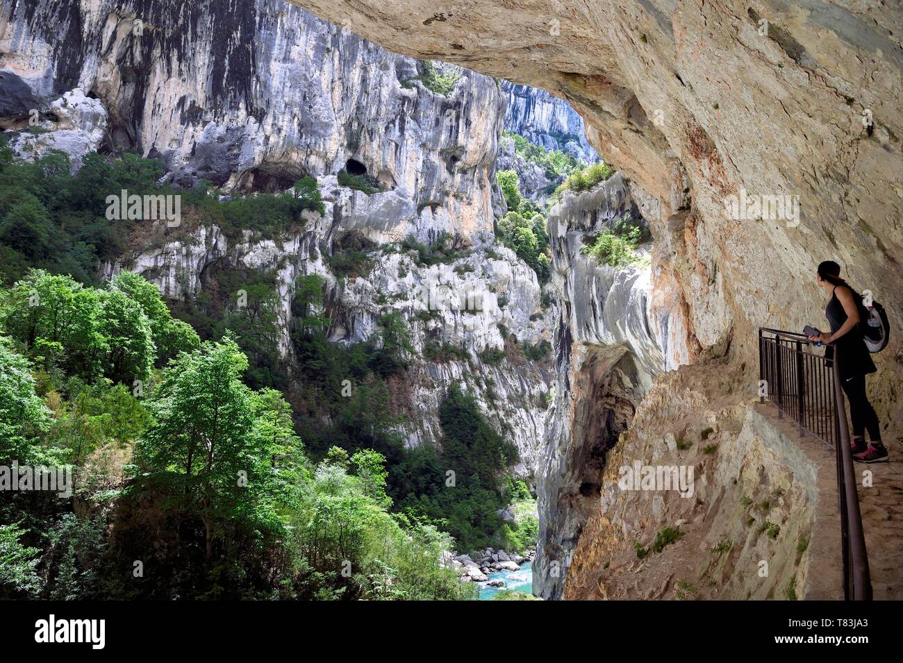 Frankreich, Alpes de Haute Provence, Parc Naturel Regional du Verdon, Rougon, Grand Canyon von Verdon im Flur Samson, vom trail Sentier Martel Blanc gesehen auf dem GR 4 Stockfoto