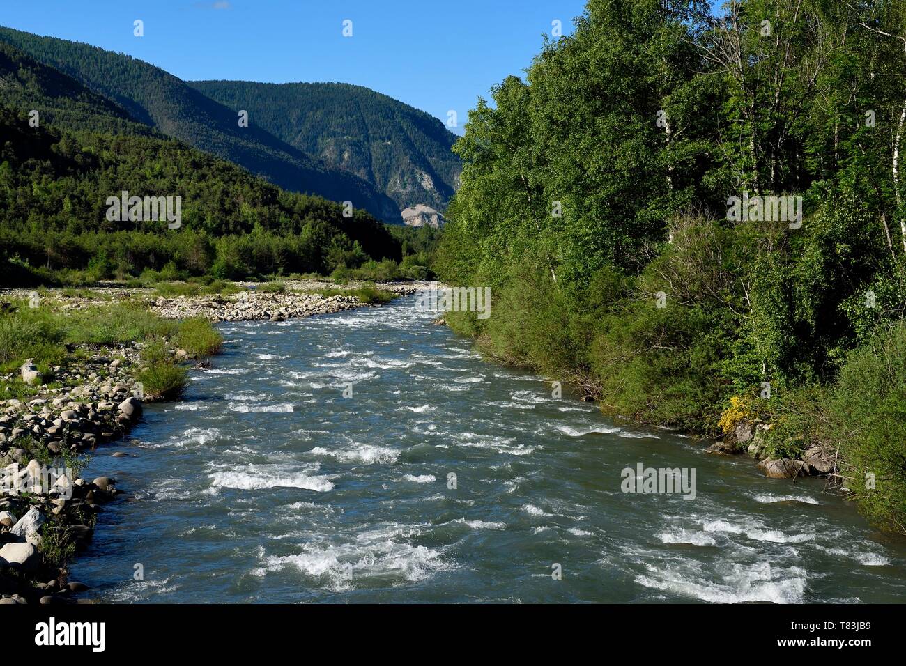 Frankreich, Alpes de Haute Provence, der Fluss Verdon zwischen Garon und Thorame Haute in Richtung Beauvezer Stockfoto