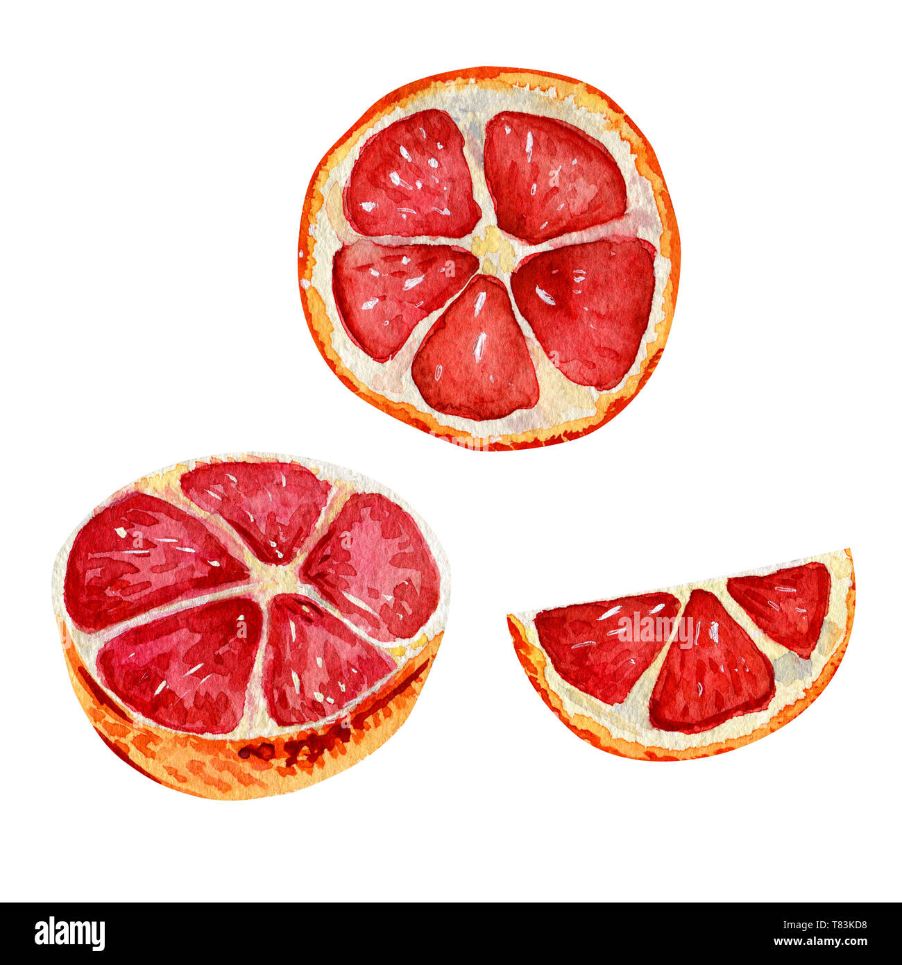 Aquarell mit Grapefruit Scheiben eingestellt. Isolierte exotische Früchte auf einem weißen Hintergrund. Stockfoto