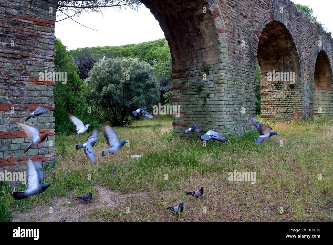 Frankreich, Var, Frejus, Forum Julii, Park der Villa Aurelienne, römische Aquädukt Stockfoto