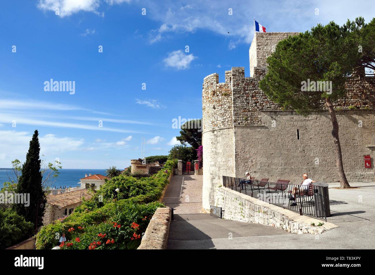 Frankreich, Alpes Maritimes, Cannes, der Altstadt von Le Suquet Stadtteil Suquet Turm in das Museum von Castre in die Reste der mittelalterlichen Burg der Mönche von Lerins installiert Stockfoto