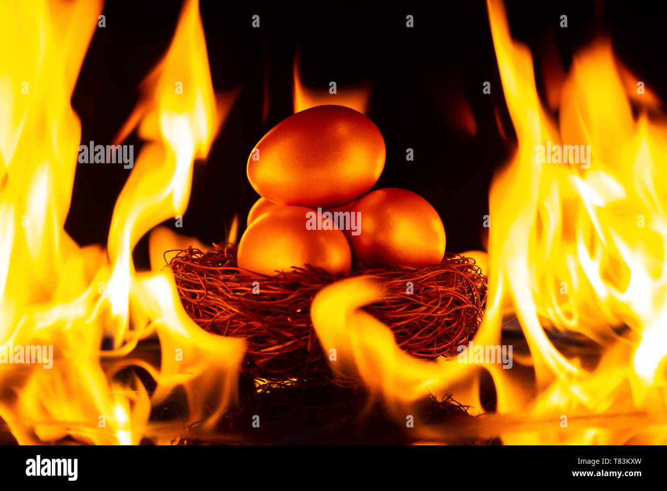 Gold Eier im Nest von Big fire Konzept des Anlagerisikos umgeben Stockfoto