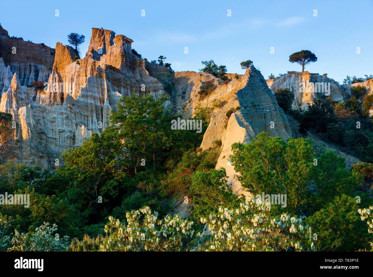 Frankreich, Pyrenees Orientales, Ille-sur-Tet, Les Orgues, Überblick über die Site bei Sonnenaufgang Stockfoto
