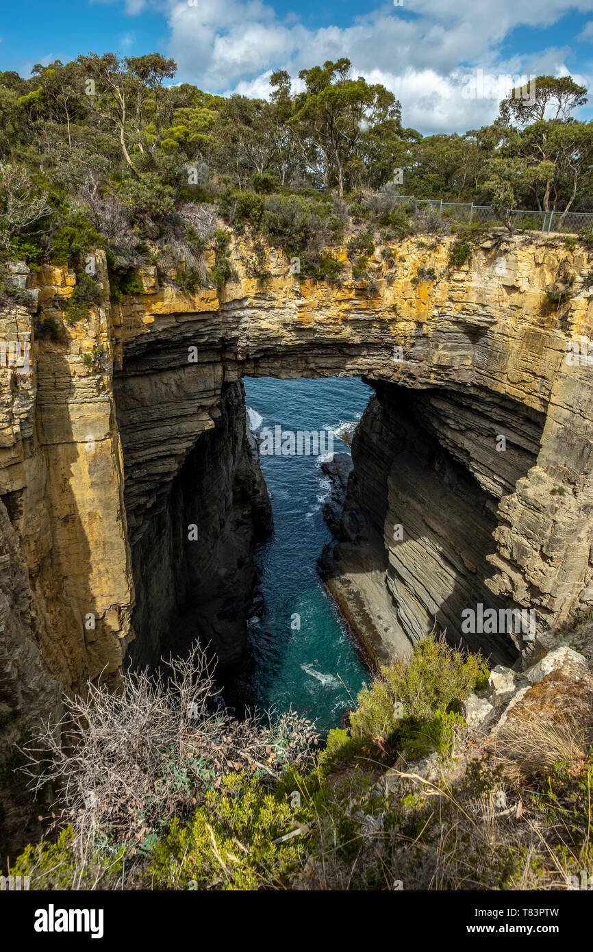 Tasman Arch. Wunder der Natur. Tasmanien. Australien Stockfoto