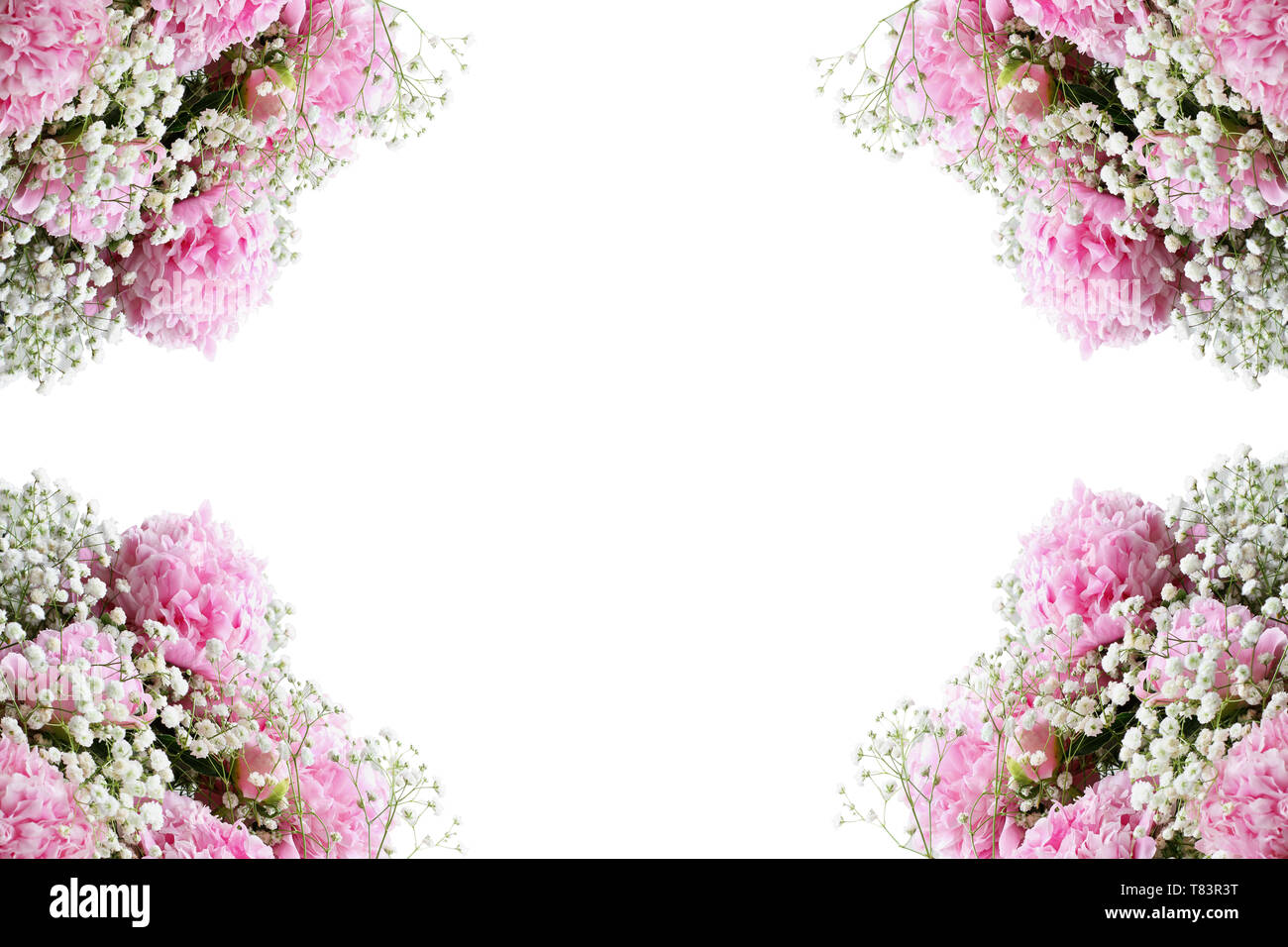 Blume Komposition. Rahmen der rosa Blüte Sträuße von Pfingstrosen und Baby's Atem Blumen über einen weißen Hintergrund mit freier Platz für Ihren Text. Stockfoto