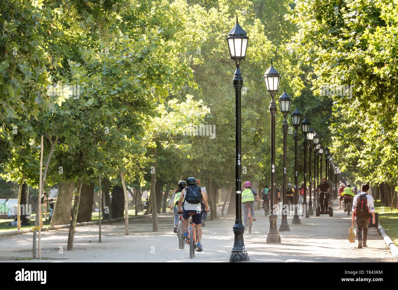 Region Metropolitana, Santiago, Chile - Menschen Reiten Fahrrad in die forstliche Park, die mehr traditionellen städtischen Park in der Stadt. Stockfoto