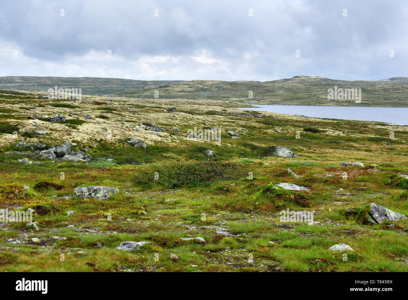 Hardanger Plateau, Norwegen, Skandinavien, Europa Stockfoto
