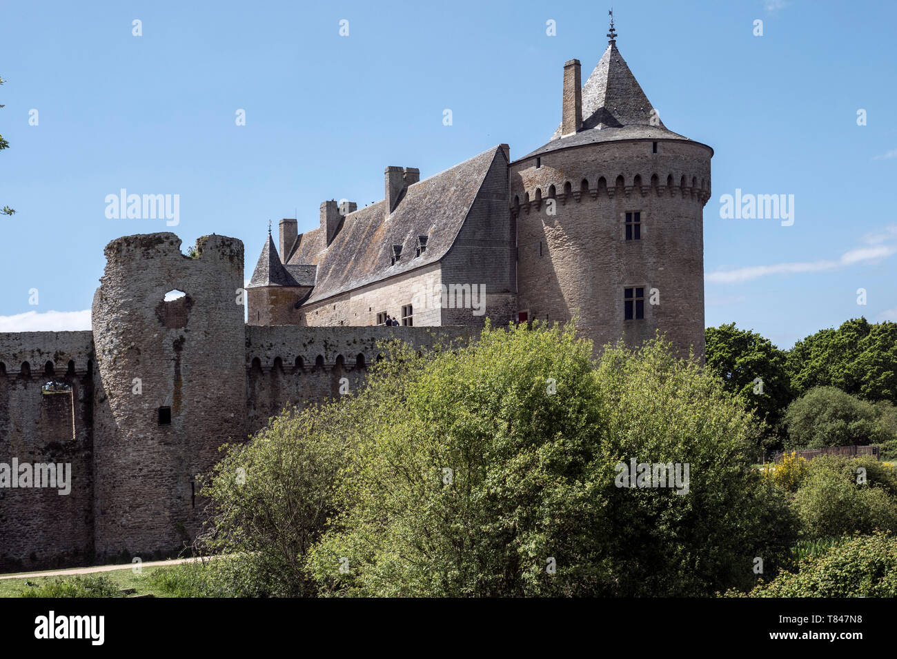 Château de Suscinio, Sarzeau, Moyen Âge, Morbihan, Bretagne, Golfe du Morbihan, Stockfoto