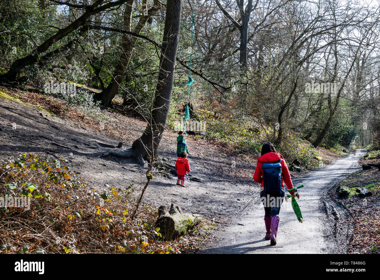 Mutter und zwei Söhne Wandern und Spielen von Wald Straße, Rückansicht Stockfoto