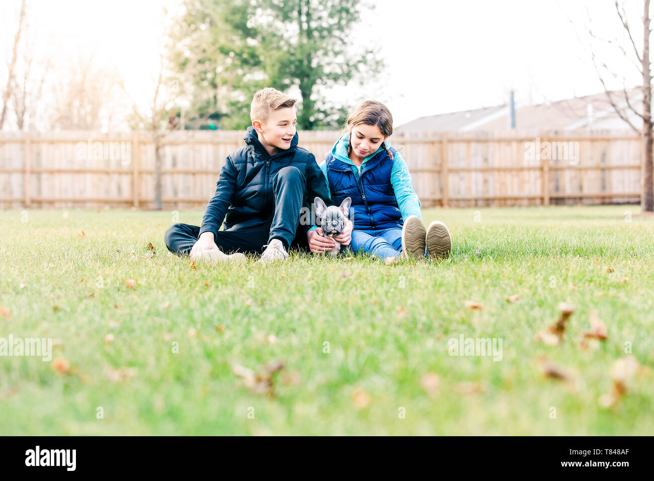 Kinder spielen mit Welpen auf Gras Stockfoto