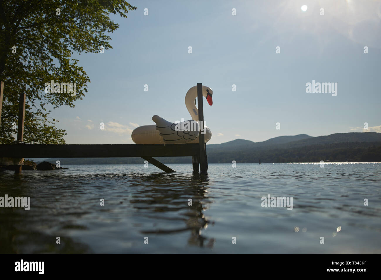 Aufblasbare Schwan auf Dock Stockfoto