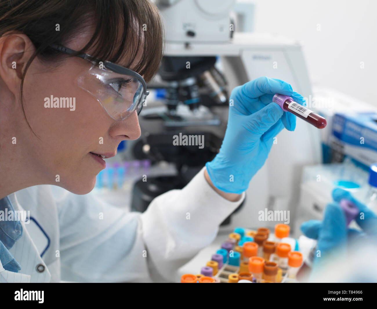 Wissenschaftlerin Prüfung Blutprobe bereit für Tests im Labor Stockfoto