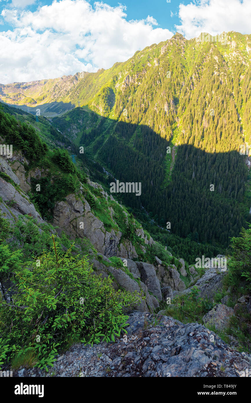 Tal der balea Stream in Fagaras Berge. Blick von den felsigen Klippen an einem steilen Hang. bewaldeten Hügel in der Ferne. Beliebte Reise destina Stockfoto