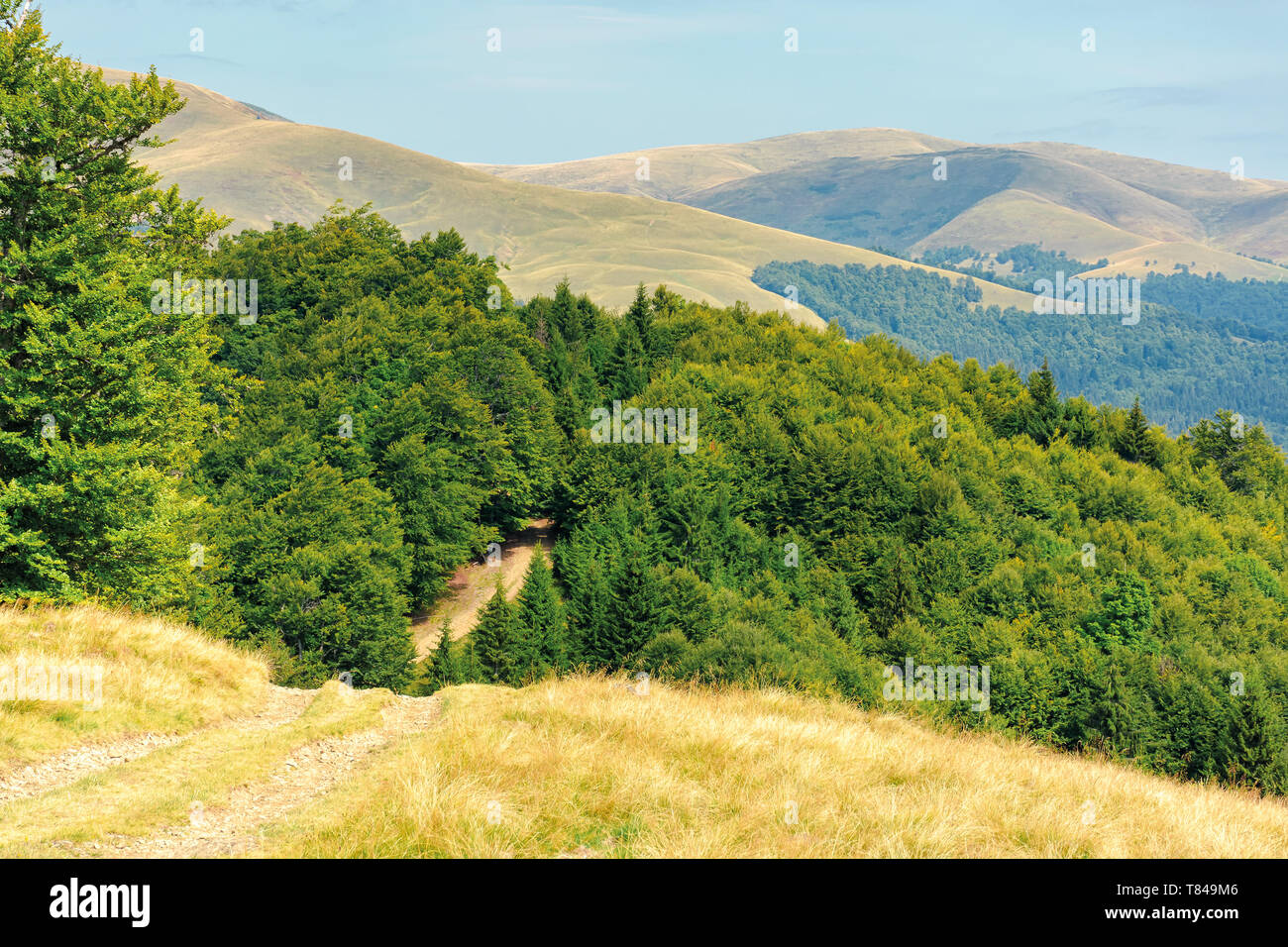 Alte Landstraße durch die Hügel in die urzeitliche Buchenwälder. Natur Landschaft mit Bäumen entlang der Weise. sonnigen Spätsommer Landschaft mit Wolken an einem Stockfoto