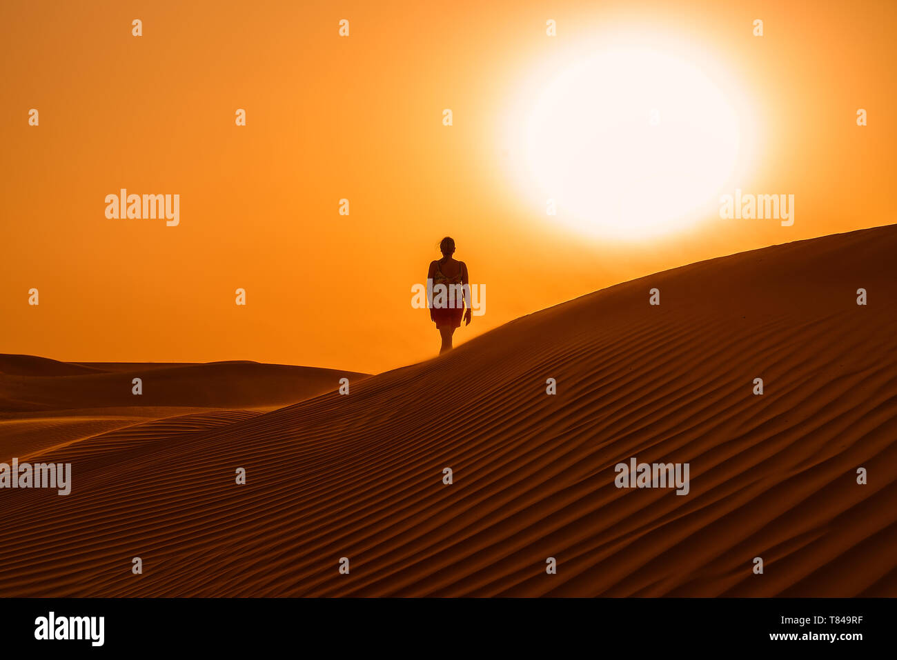 Ich möchte der Sonne folgen Stockfoto