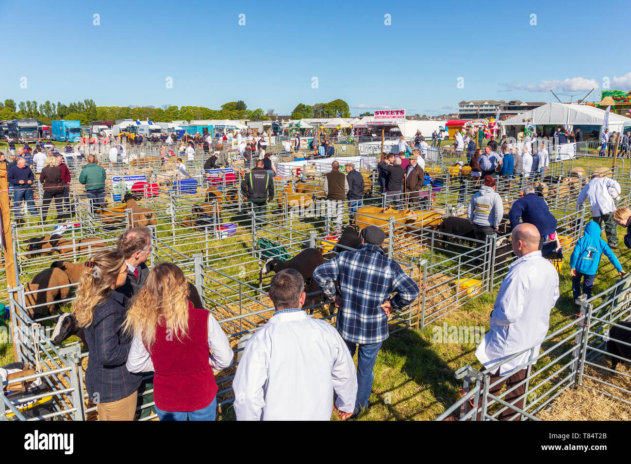 Ayr, Schottland, Großbritannien, 11. Mai 2019. Die jährlichen Ayr County Show mit allen Aspekten der Landwirtschaft und Landleben war auf dem Gelände des Ayr Racecourse an einem sonnigen Frühlingstag gehalten und wurde von Tausenden von Zuschauern und Konkurrenten aus ganz Großbritannien besucht. Wettbewerbe enthalten" Schlepper des Teams Krieg' von jungen Landwirten Gruppen, Vieh und Geflügel zu urteilen Wettbewerb durch eine Reihe von internationalen Richtern beurteilt. Credit: Findlay/Alamy leben Nachrichten Stockfoto