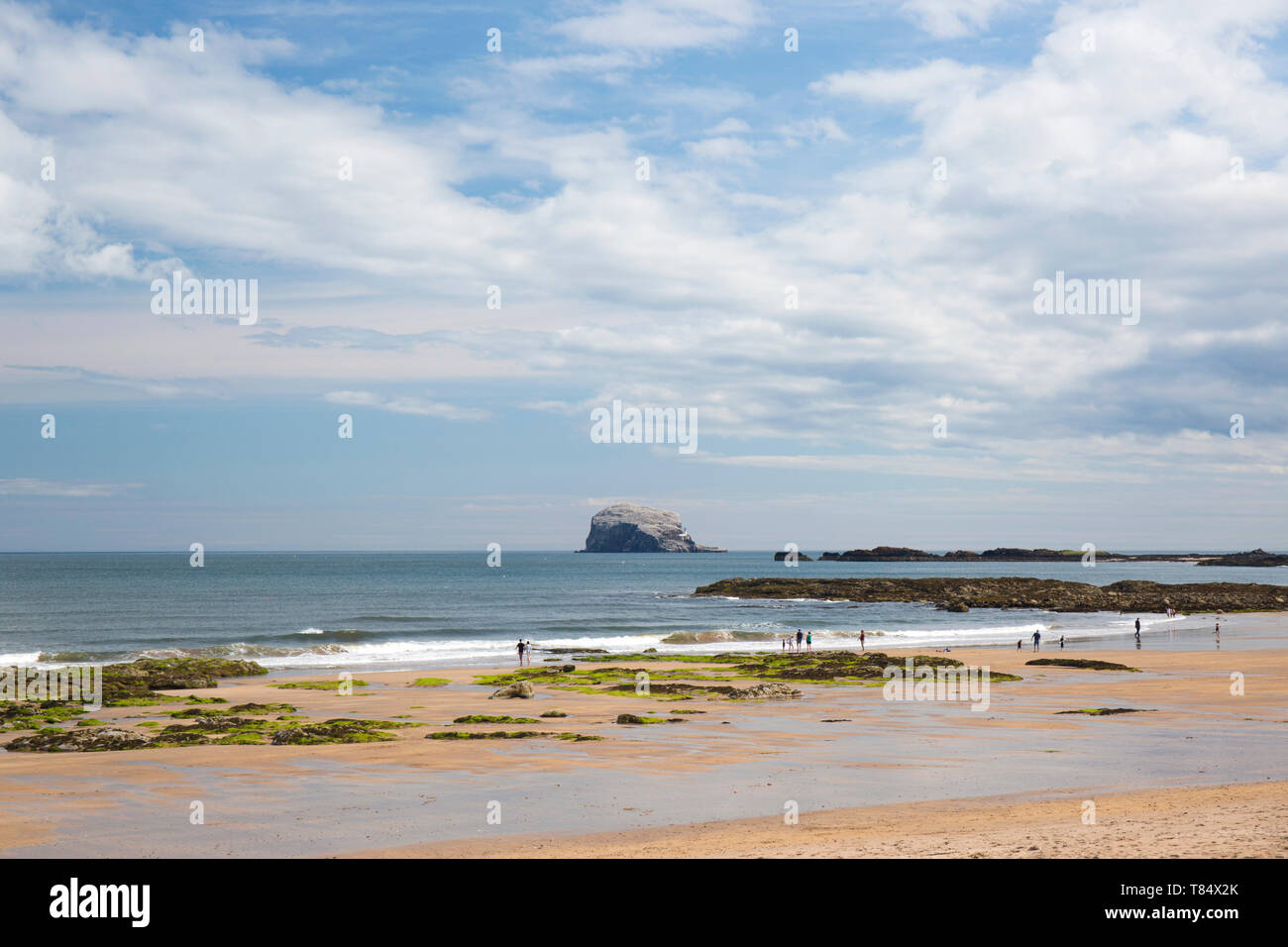 North Berwick, East Lothian, Schottland. Besucher entlang der East Bay Strand bei Ebbe bummeln, der Bass Rock prominente im Hintergrund. Stockfoto