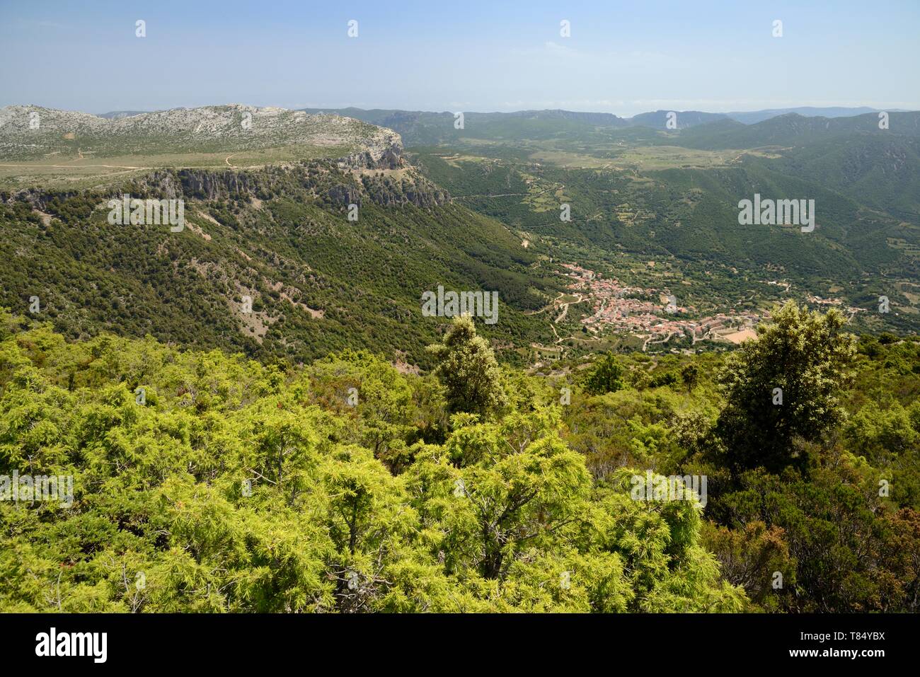 Übersicht von Urzulei Dorf von den Supramonte mountain range, Sardinien, Italien, Juni 2018 umgeben. Stockfoto