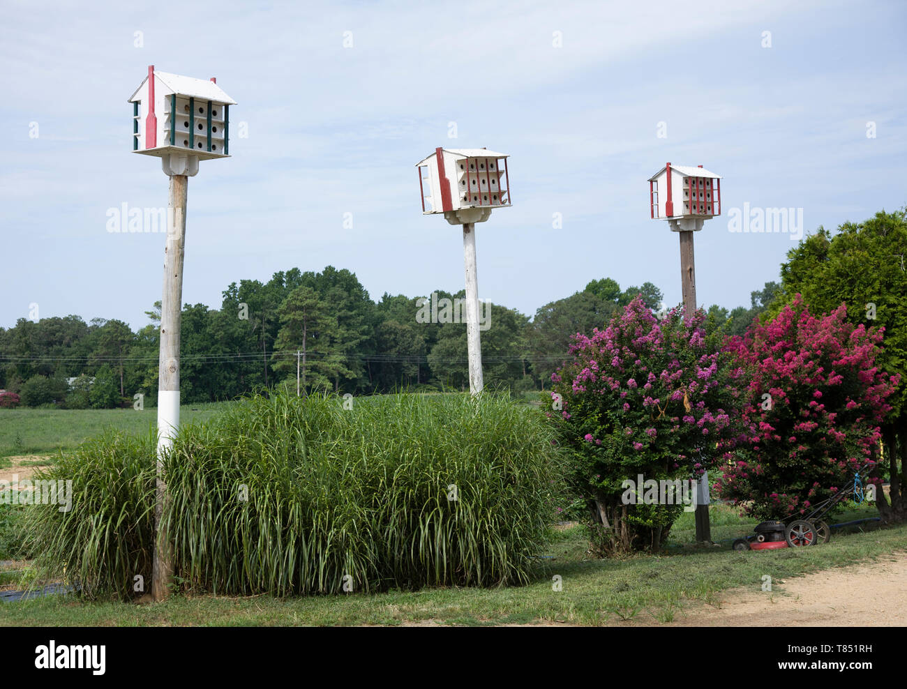 Martin Häuser in Amish Land Teil des St. Mary's County, Maryland. Stockfoto