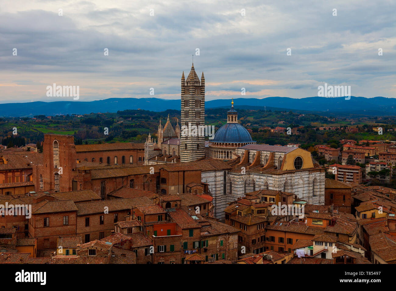 Blick auf Siena. Toskana, Italien. Stockfoto