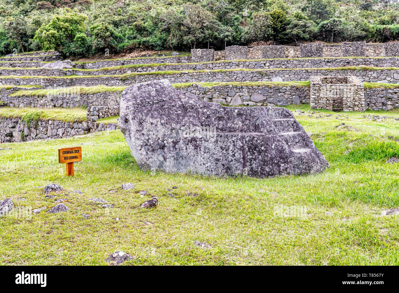 Blick auf den zeremoniellen Rock im alten Inkas Stadt von Machu Picchu in der Nähe von Cusco in Peru. Stockfoto