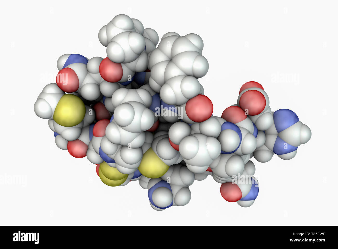 Molekül des Scorpion chlorotoxin Stockfoto