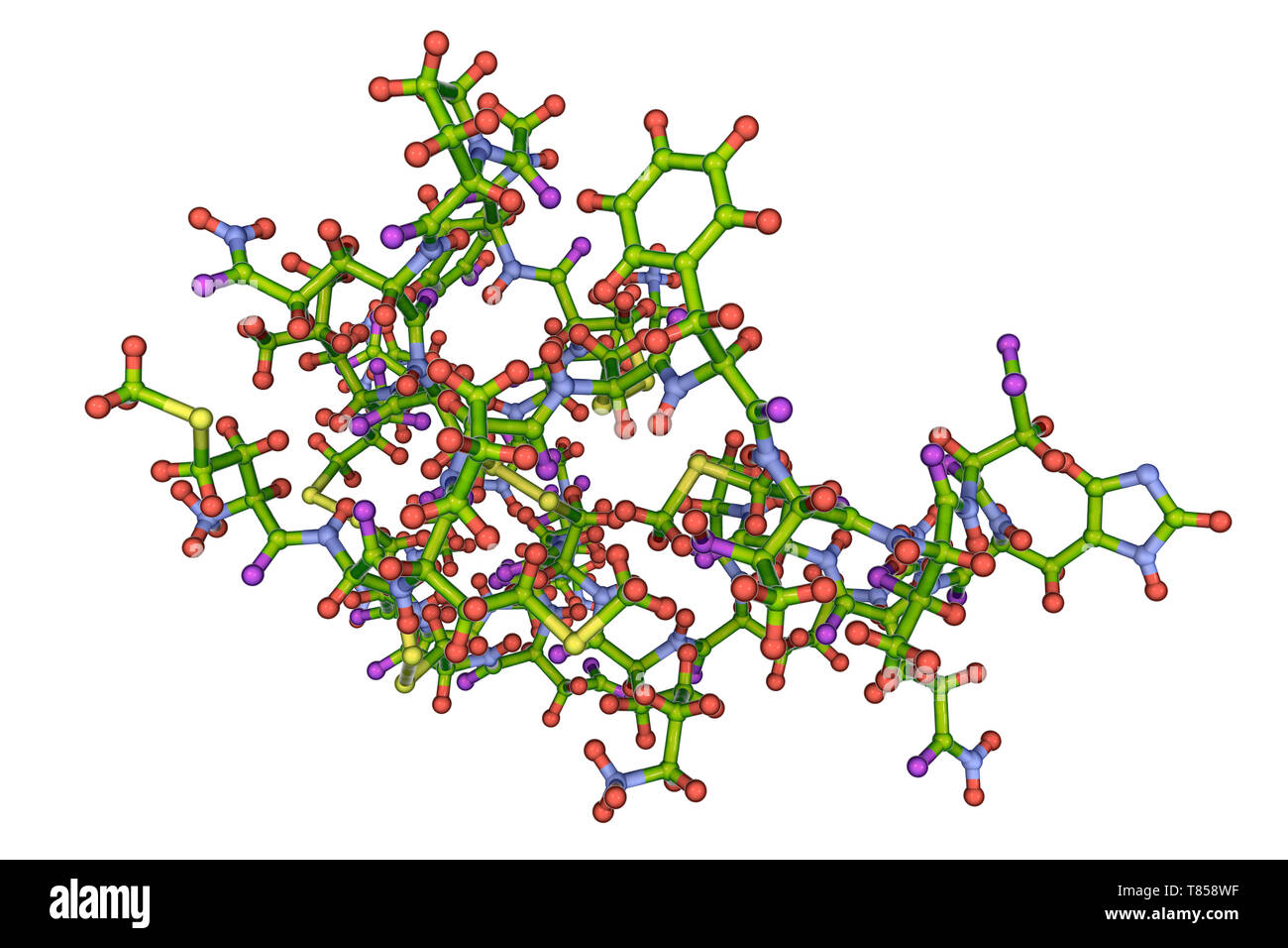 Molekül des Scorpion chlorotoxin Stockfoto