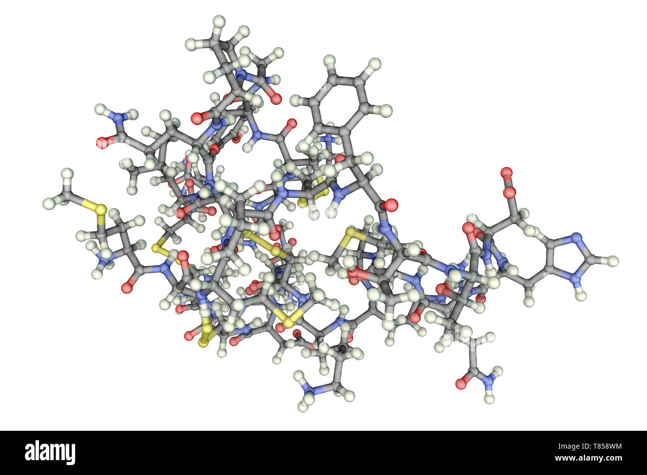 Molekül des Scorpion chlorotoxin Stockfoto