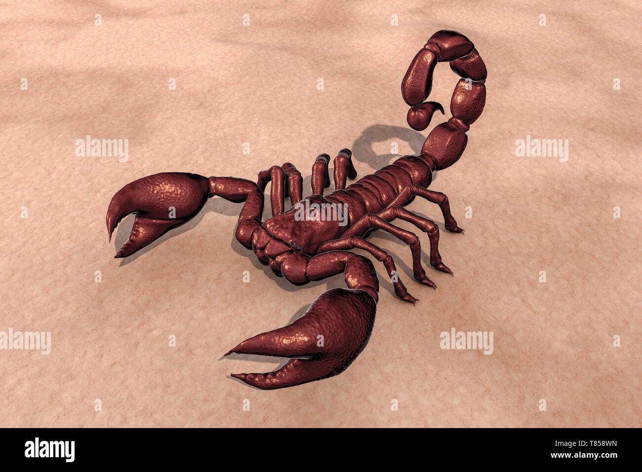 Scorpion, Abbildung Stockfoto