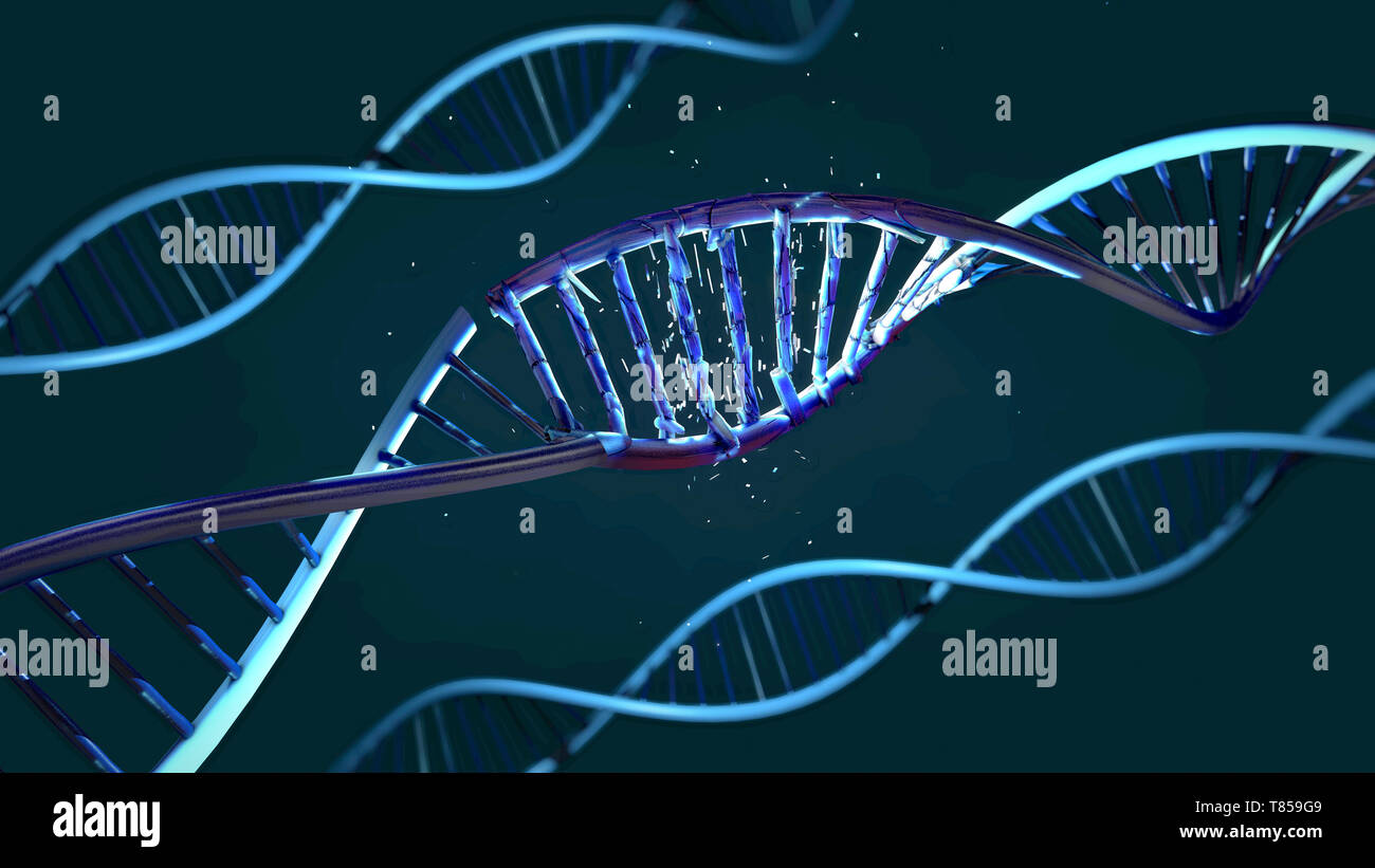 DNA-Moleküle, Abbildung Stockfoto