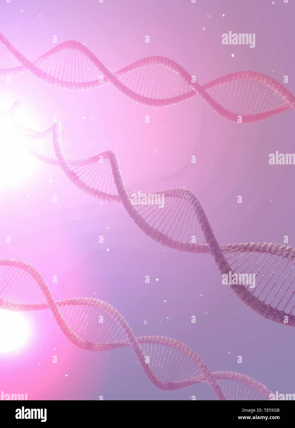 DNA-Moleküle, Abbildung Stockfoto