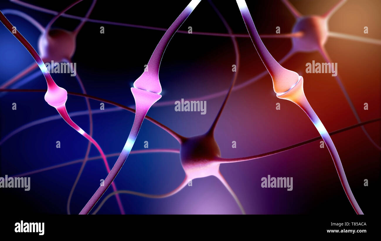 Die Nervenzellen, Abbildung Stockfoto