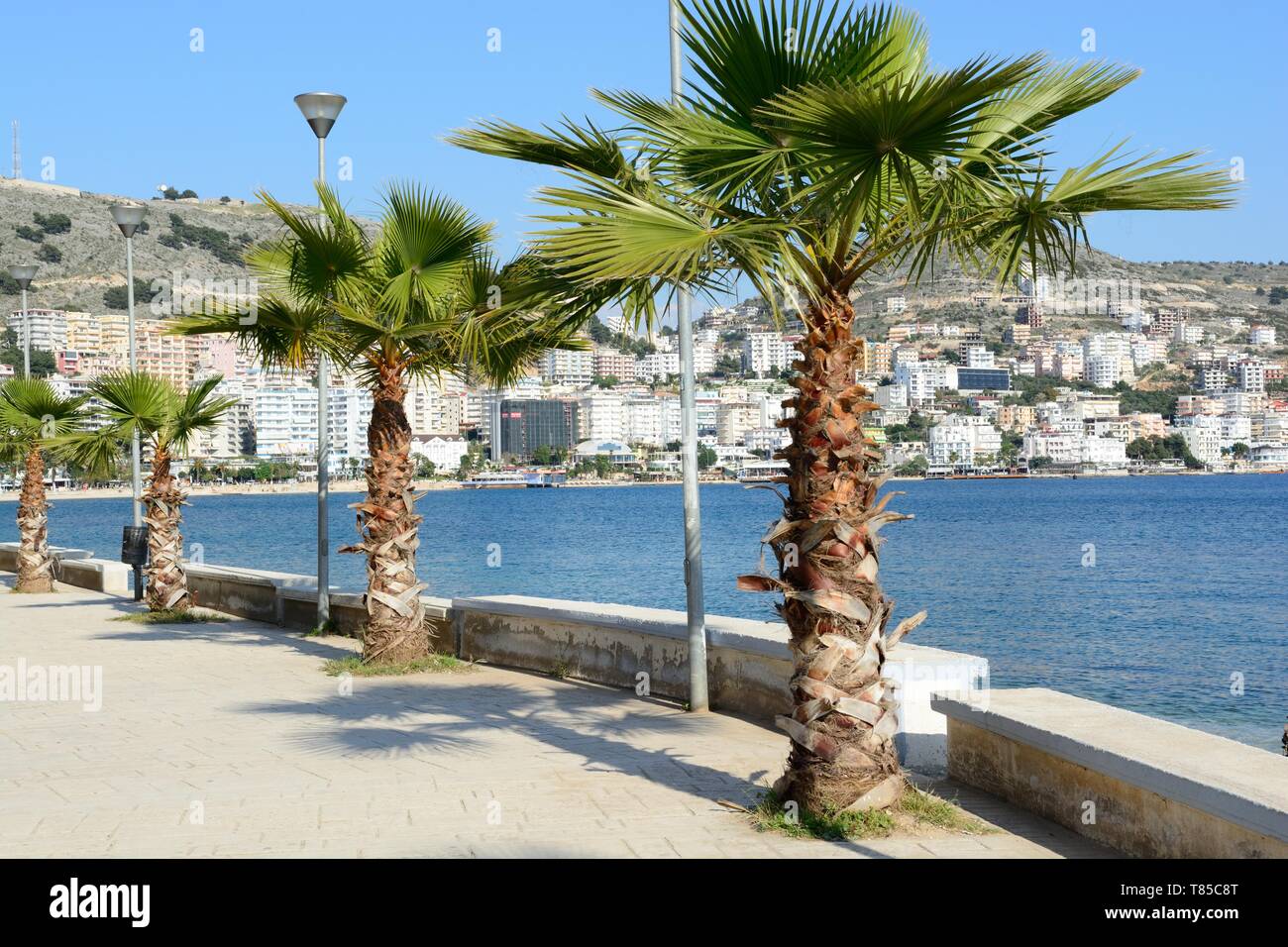 Palm Tree line Promenade in Saranda albanische Riviera Stockfoto